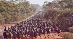 Emu War of 1932